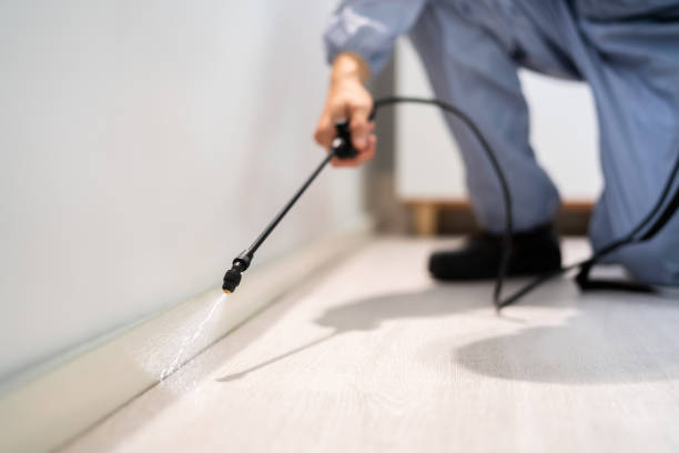 Certified termite inspector examining foundation in Flower Hill